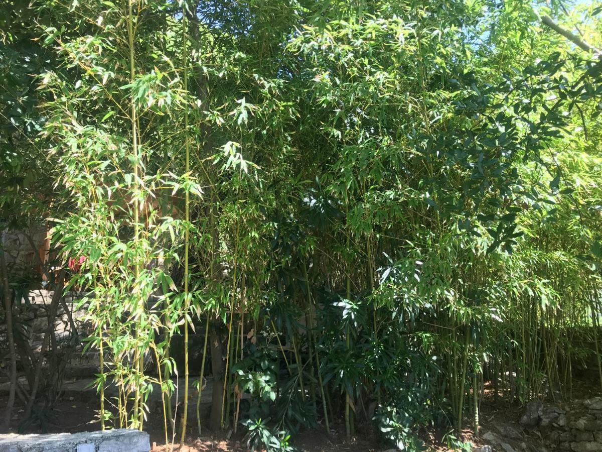 Apartment Sunshine มาลีโลชินจ์ ภายนอก รูปภาพ